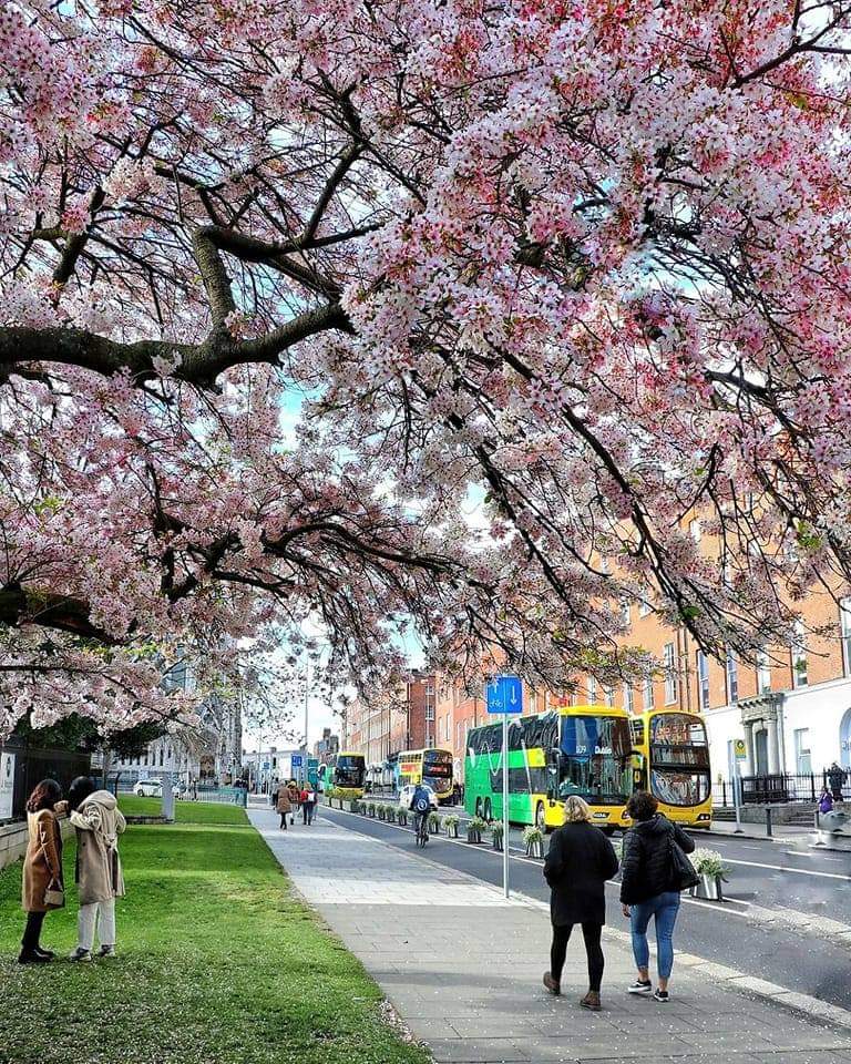 We Love Ireland tweet media