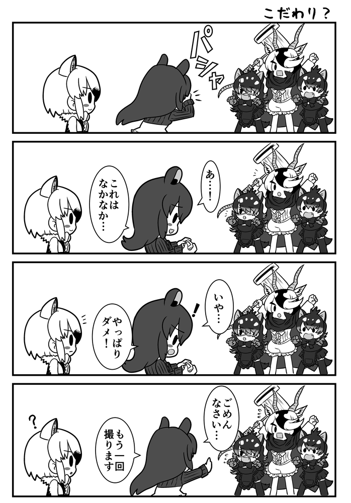 (3/6) 