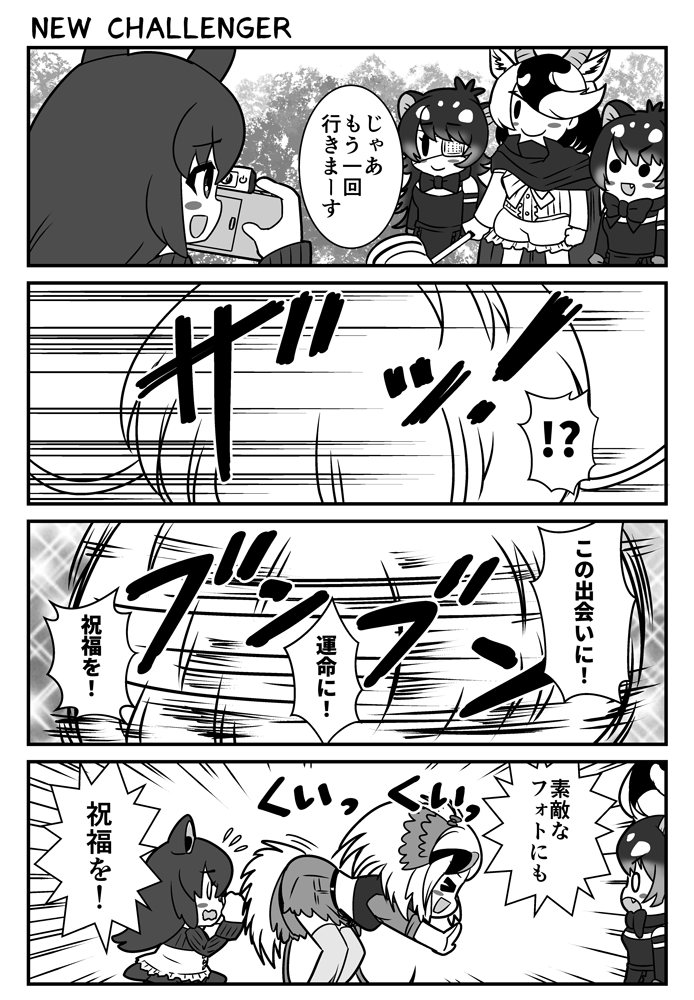 (3/6) 