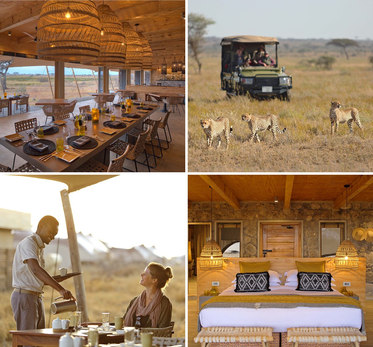 #NamiriPlains, in Eastern #Serengeti offers unparalleled privacy with no other camps within an hour’s drive.

📧 info@worldtourssafaris.com
📲 +255 686 104 236
🌍 worldtourssafaris.com
📸 @AsiliaAfrica

#WorldToursTz #Travel #Adventure #Safari #Luxury #Safari #Tanzania
