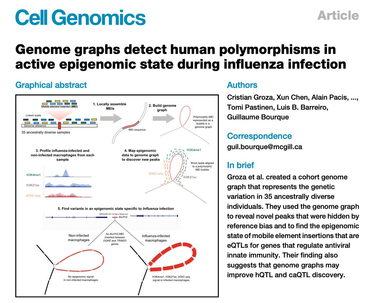 Second one by PhD student and graph-magician @groza_cristian : cell.com/cell-genomics/…