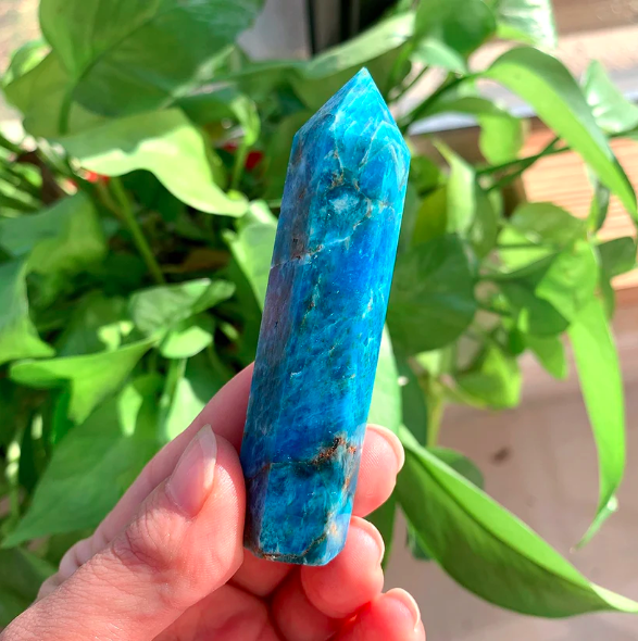 SagesChoice - Blue Apatite Obelisk

#crystals #crystalsshopnearme #crystalsshop #crystalpalace
#crystalsswarovski #crystalsstorenearme #crystalshealing #crystalsgreen #crystalsstore #crystalsforhealing
#crystalsofprotection #crystalswithmeaning

thesageschoice.com/products/sages…