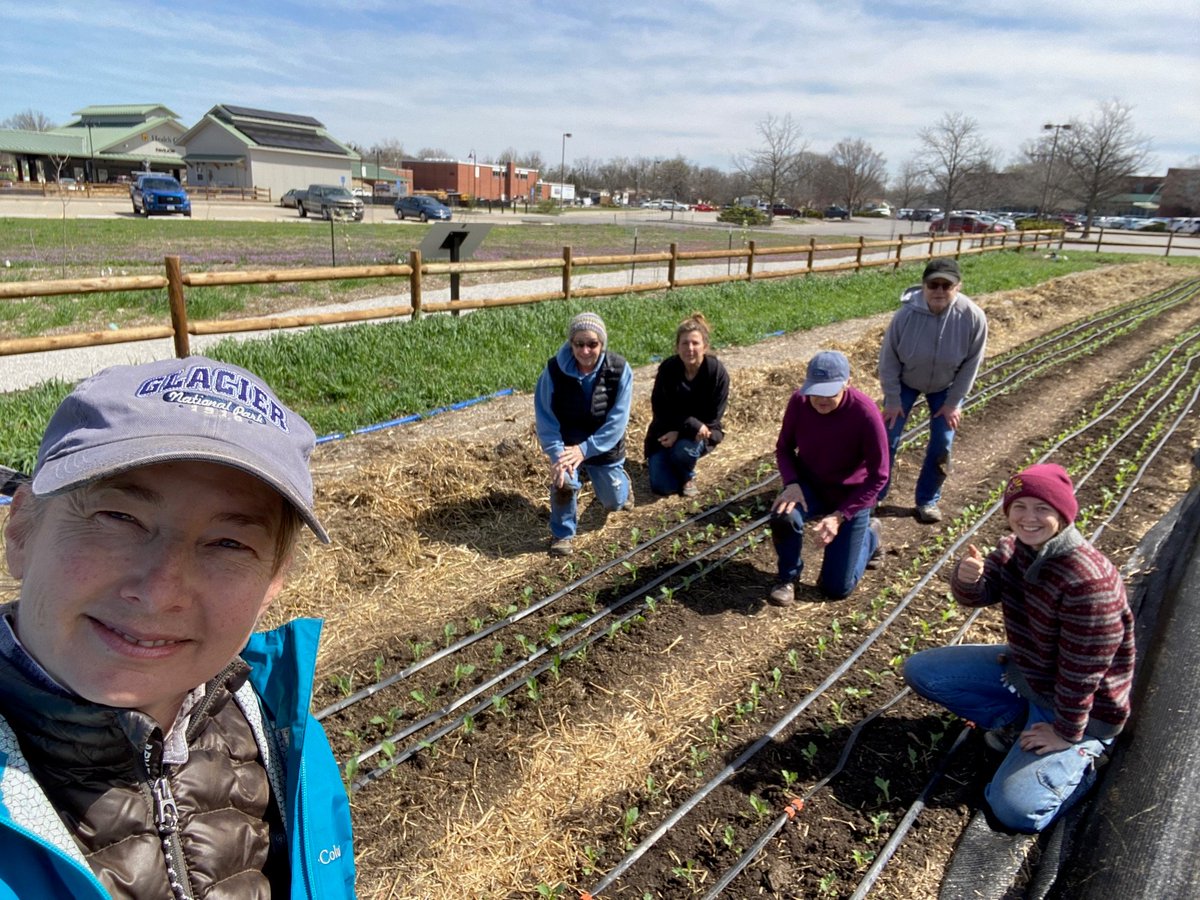 Happy kohlrabi planting day! Did you know kohlrabi is also called German turnip or turnip cabbage? Kohlrabi is a great source of potassium, vitamin C, and fiber &amp; is related to cabbage, broccoli, kale, cauliflower, and possibly aliens, at least we haven't ruled it out yet...