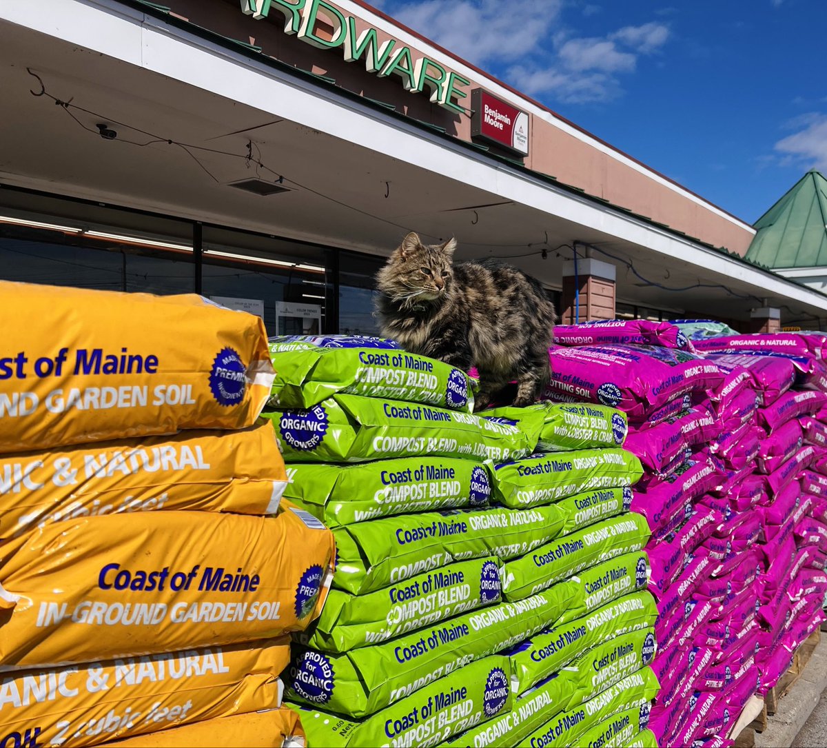 Beautiful spring day out there! <a href="/coastofmaineorg/">Coast of Maine</a>