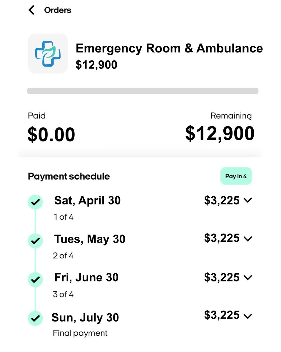 This is it. The American dream.

0% APY financing on your emergency room and ambulance ride.

Other countries just can't compete with American healthcare.