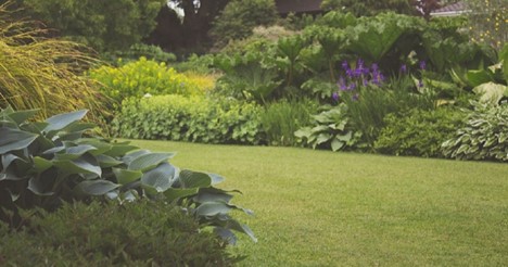 SyngentaTurf's tweet image. It's #NationalGardeningDay! Whether it’s your lawn, the gardens around your golf course or your customers’ lawns, we want to give a shout-out to everything you do to keep them beautiful! Share a photo of a garden you’re proud of! Extra kudos to #OperationPollinator gardens! 🌻🐝
