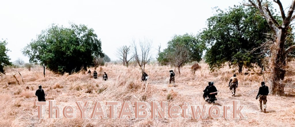 Yatab_ngr's tweet photo. Special Forces Troops of Sector 1 OPHK have killed no fewer than  18 Boko Haram Terrorists in another well coordinated offensive operation at Sambisa Forest area in Borno State. https://t.co/gbbONV89fC