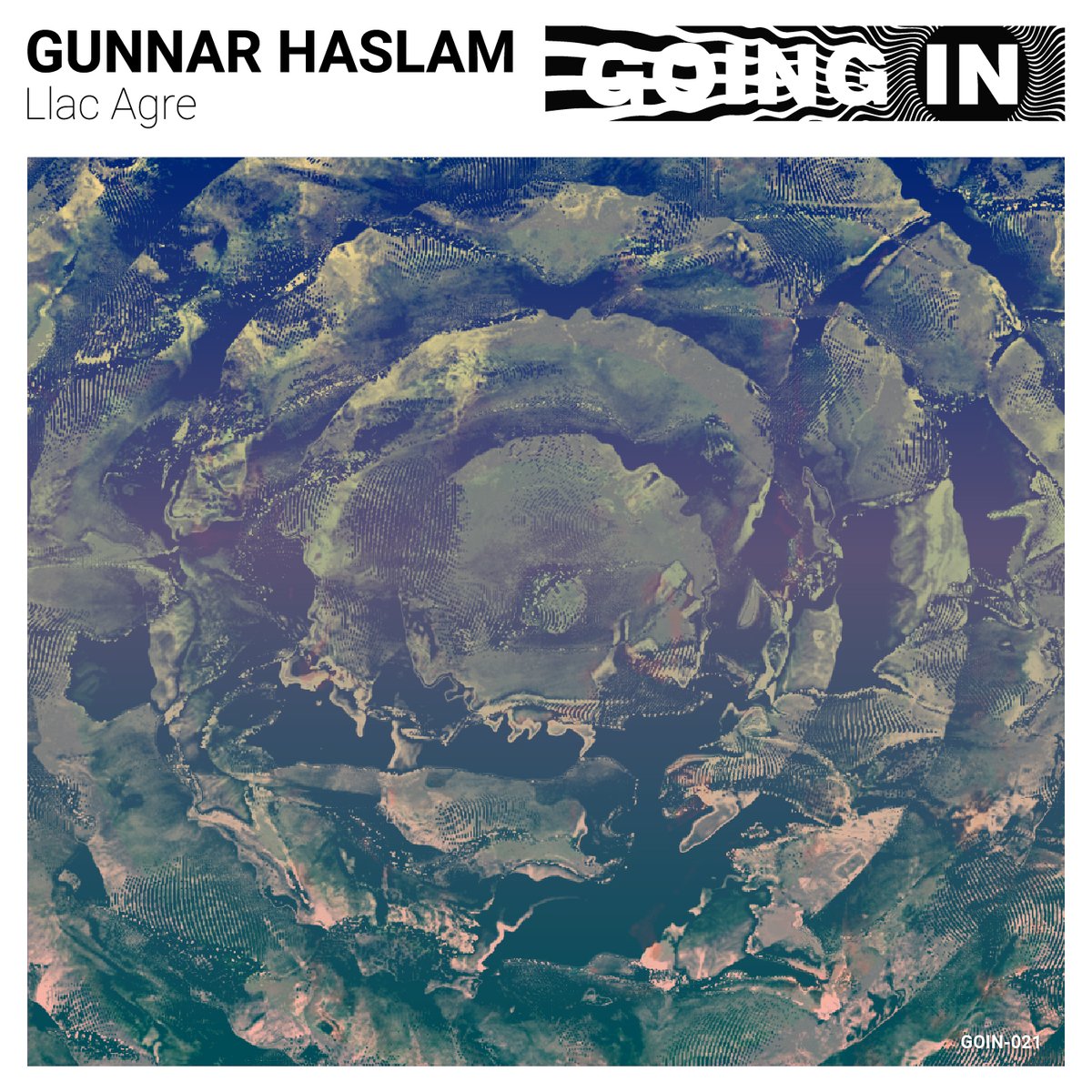 New releases from <a href="/gunnarhaslam/">gunnar haslam</a> and @tdel00 for Bandcamp Friday today. goingin.bandcamp.com