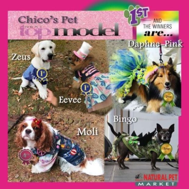 TASTE OF ANNANDALE’S FAVORITE PET CONTEST is Back!  Register your Pet Now!  Seven New Categories ,16 Prizes, a Total of $1,500 up for grabs! - mailchi.mp/chicosnaturalp…