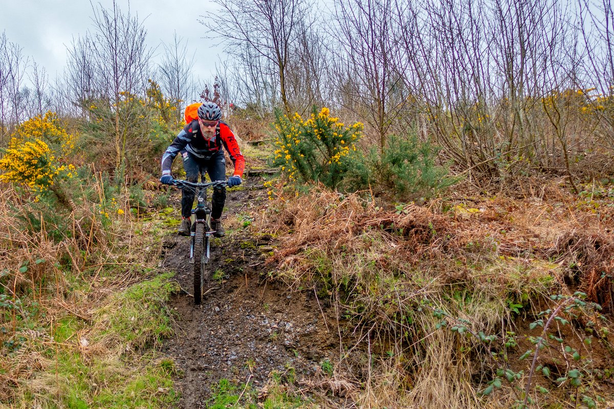 JLPhoto&Video tweet media