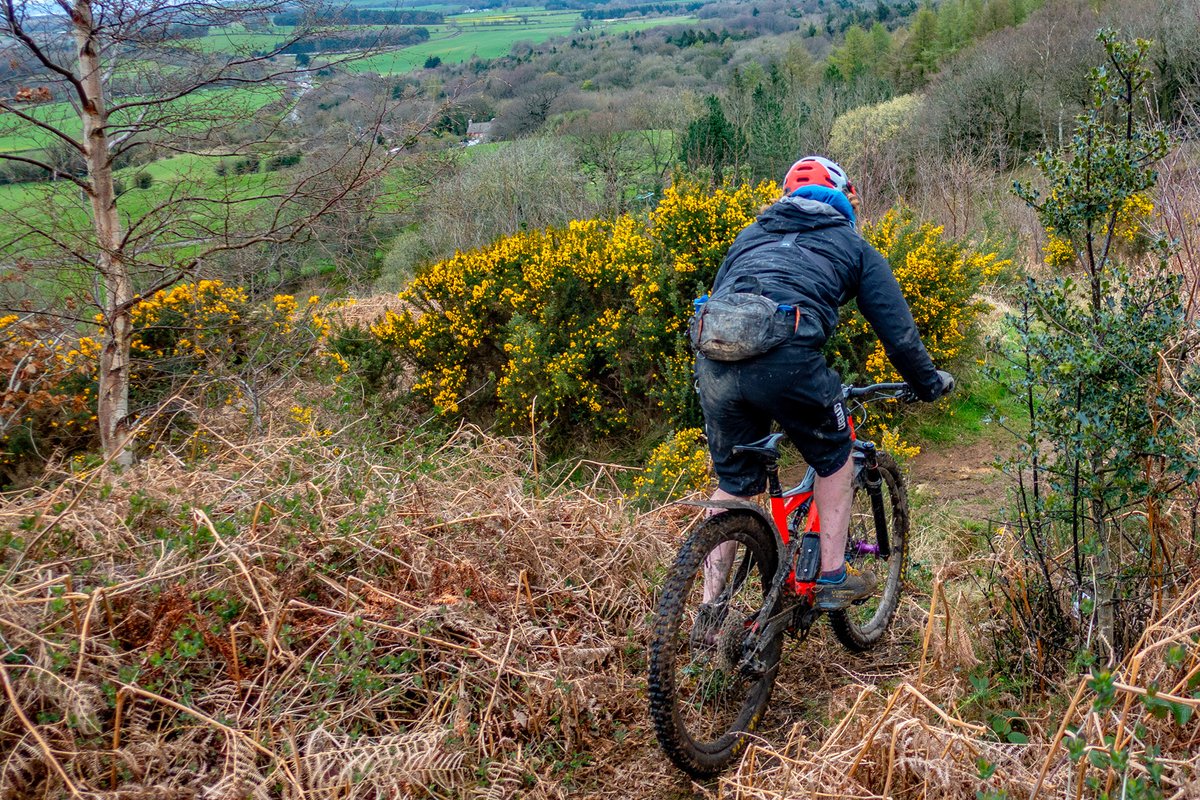 JLPhoto&Video tweet media