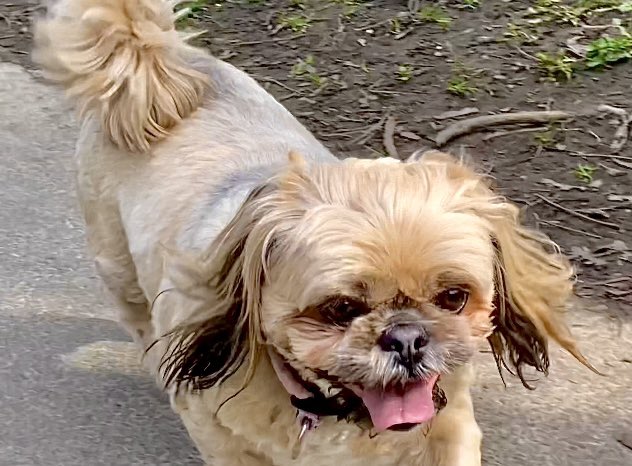 Anna Douglas tweet media