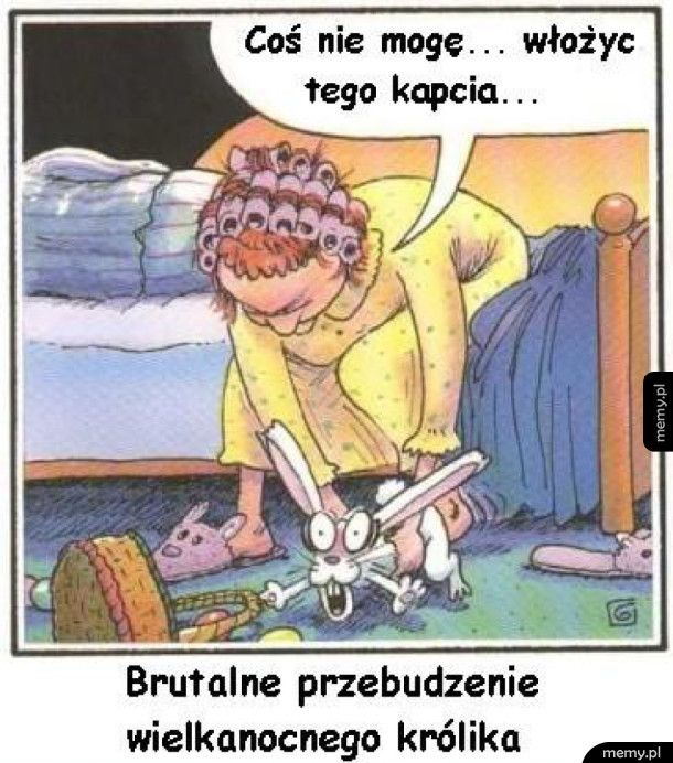 ZaPLMundurem's tweet photo. Dzień Dobry i Spokojnego Dnia 💪🇵🇱❤️
Tylko się nie pomylcie!😉🤡
#krolikwielkanocny #memy #zarty #smieszne #like #lifestyle #pomylka #surprisee #kapcie
#humor #wielkanoc #koszykwielkanocny 👇 https://t.co/LVni9zlmUs
