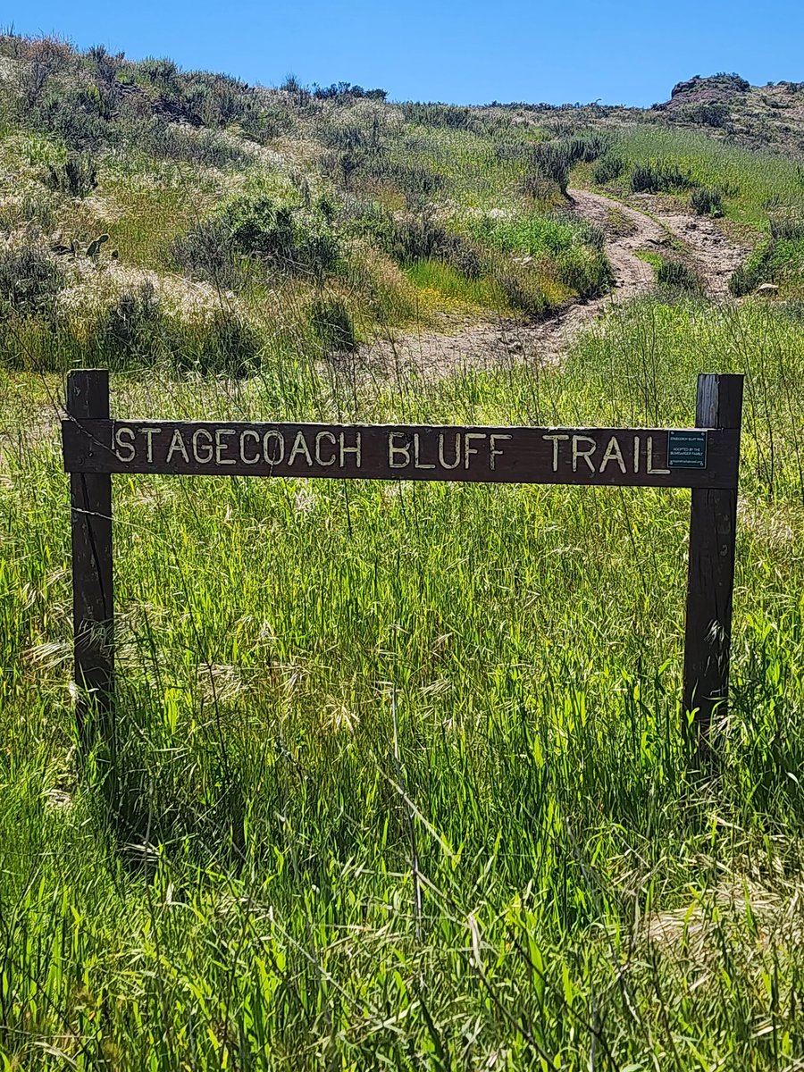 Is this the path to meet <a href="/JonFreier/">Jon Freier</a>  for them <a href="/Stagecoach/">Stagecoach Festival</a> passes