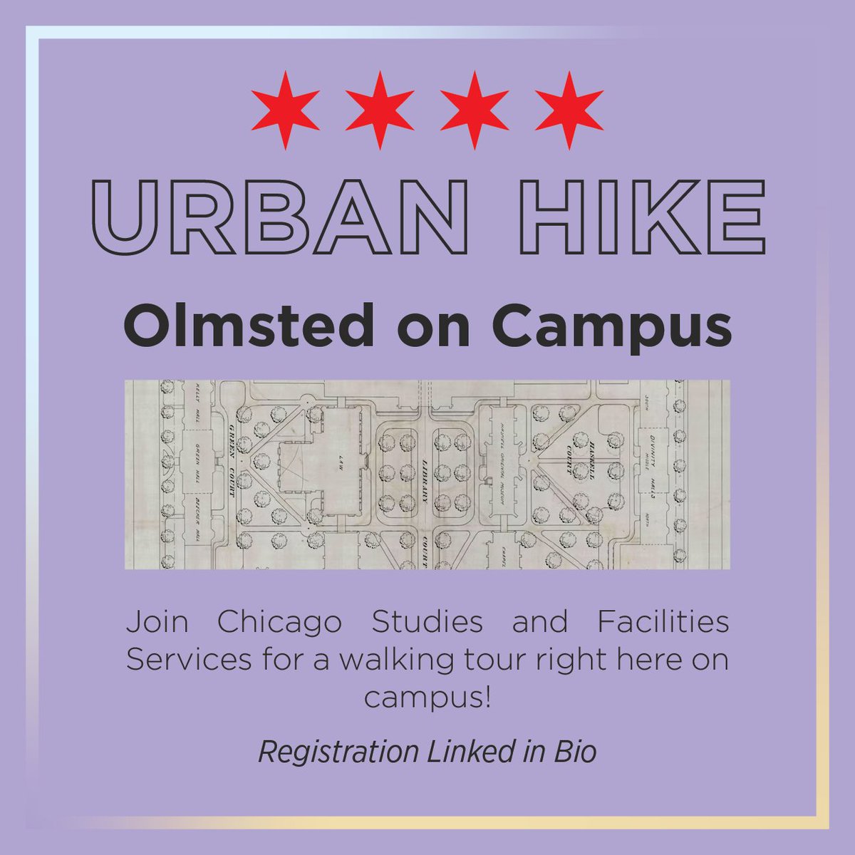 Chicago Studies tweet media