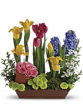 timshane1's tweet photo. @Teleflora Major Fail. This is what I ordered and this is what my mom received https://t.co/9qIOBxPIDB