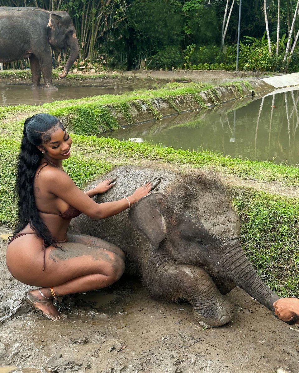 SerenaJohnsons's tweet photo. Jane of the Jungle 🐘🌴 https://t.co/DYHSd8BBRf