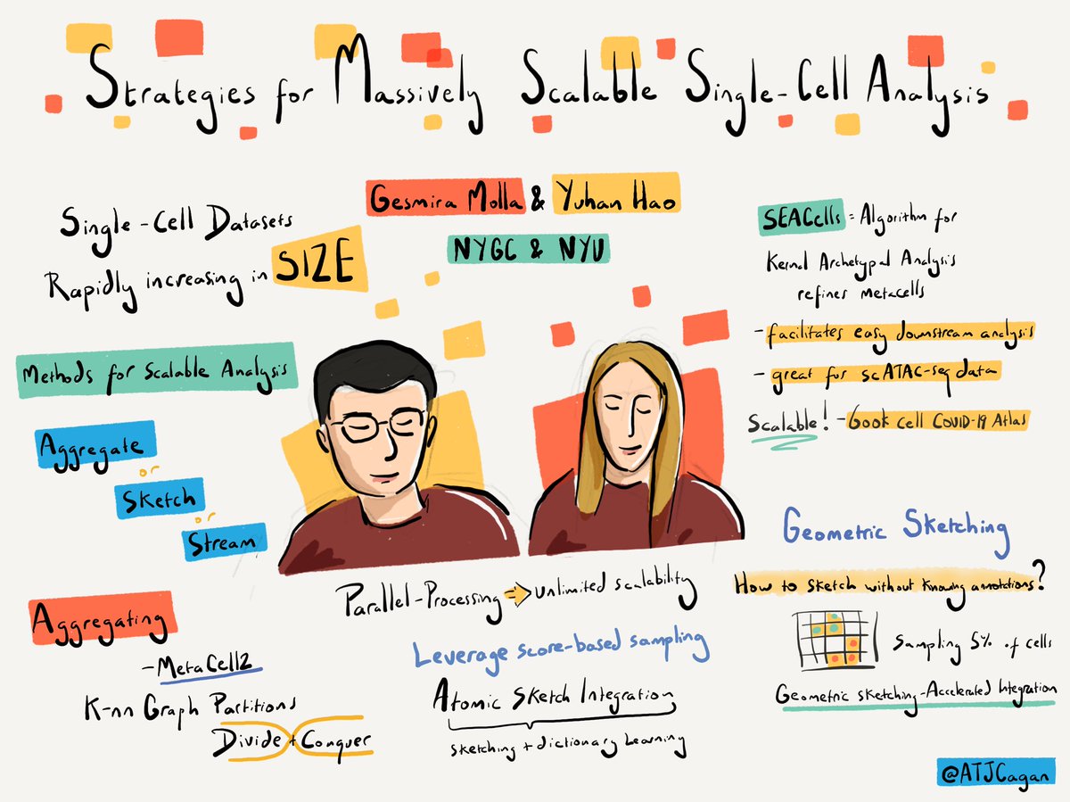 Gesmira Molla and Yuhan Hao overview strategies for massively scalable single-cell analysis #singlecellgenomicsday