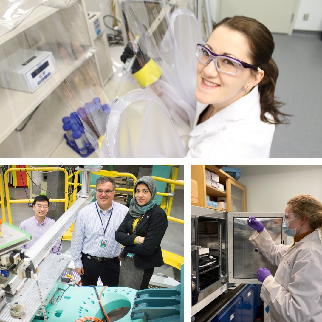 CanLightSource's tweet photo. It's #WorldHealthDay! Learn how scientists have used the CLS to study cancer, osteoporosis, stroke, COVID-19, antibiotic resistance, heart disease, anatomy, and much more: https://t.co/QChqrza9FI https://t.co/jf0pB21vhd