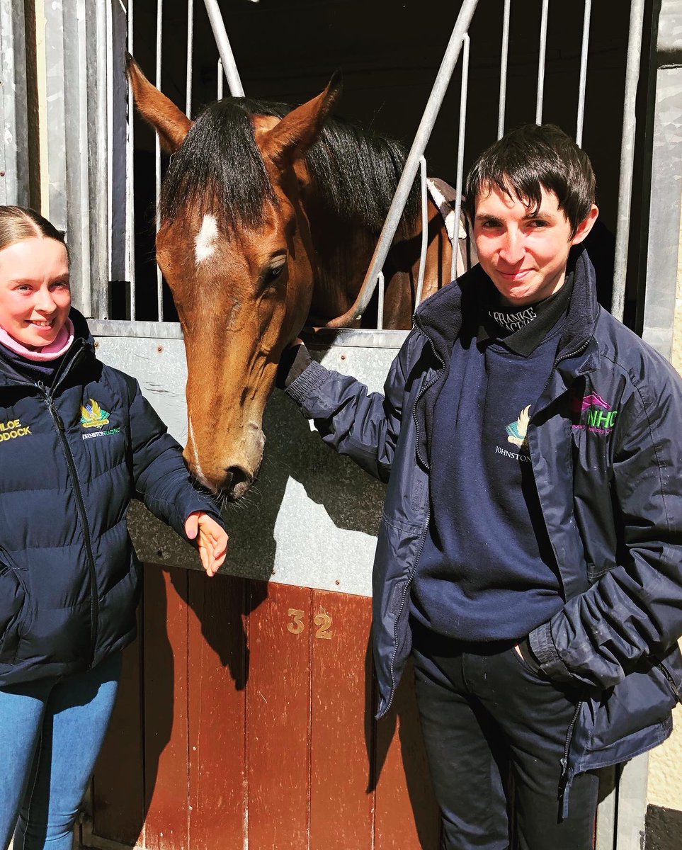 KateSlaterPR's tweet image. Our annual Good Friday visit to the Middleham Open Day. Always such a fun day. Here are some of my favourite #horses from today #racing #middleham @MHammondRacing @Johnston_Racing