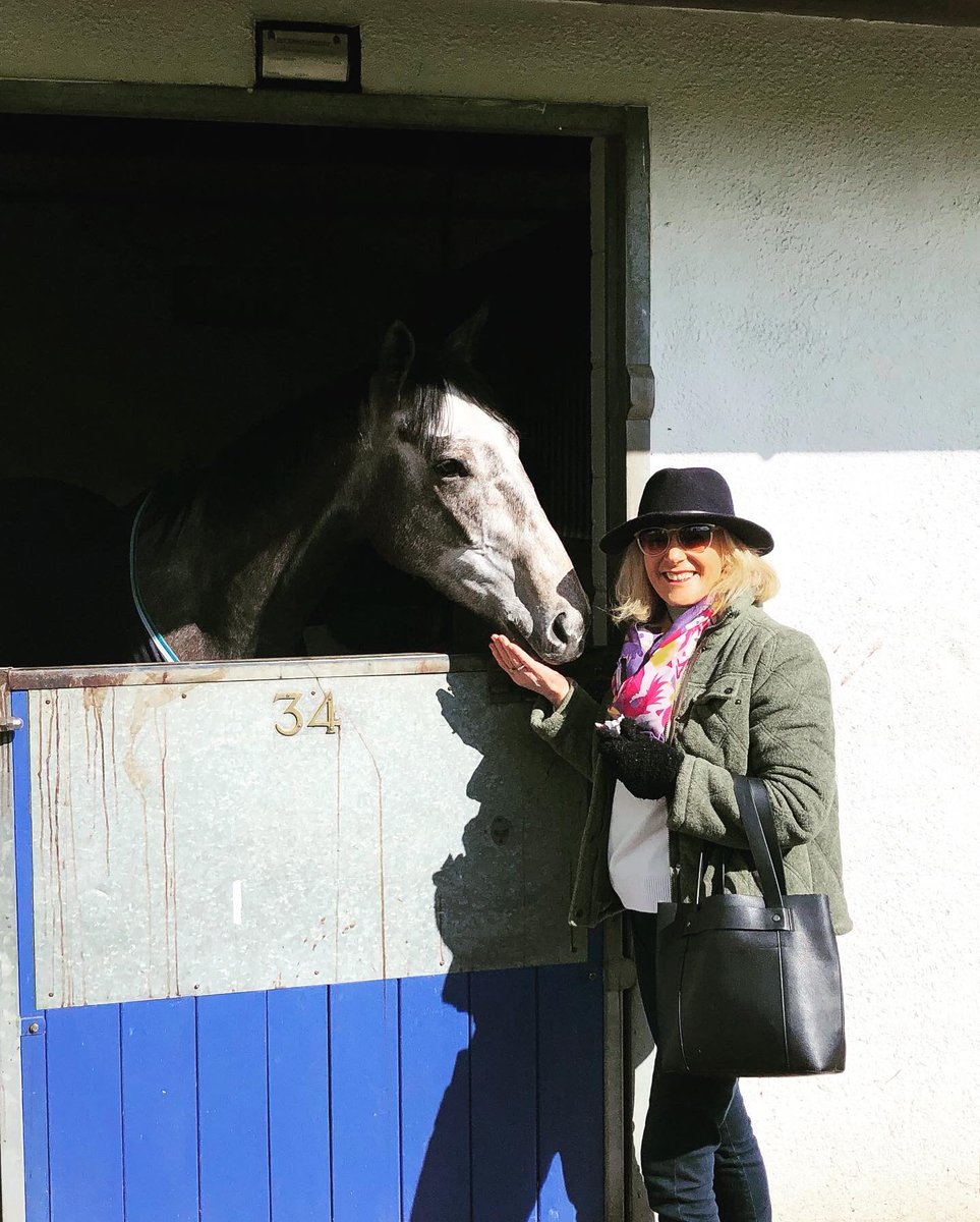 KateSlaterPR's tweet image. Our annual Good Friday visit to the Middleham Open Day. Always such a fun day. Here are some of my favourite #horses from today #racing #middleham @MHammondRacing @Johnston_Racing