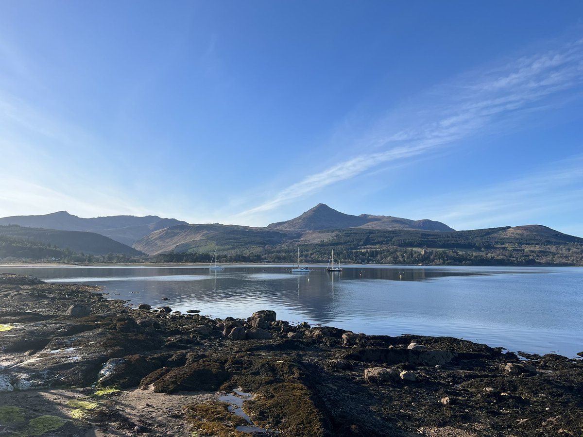 Niall Hackett tweet media