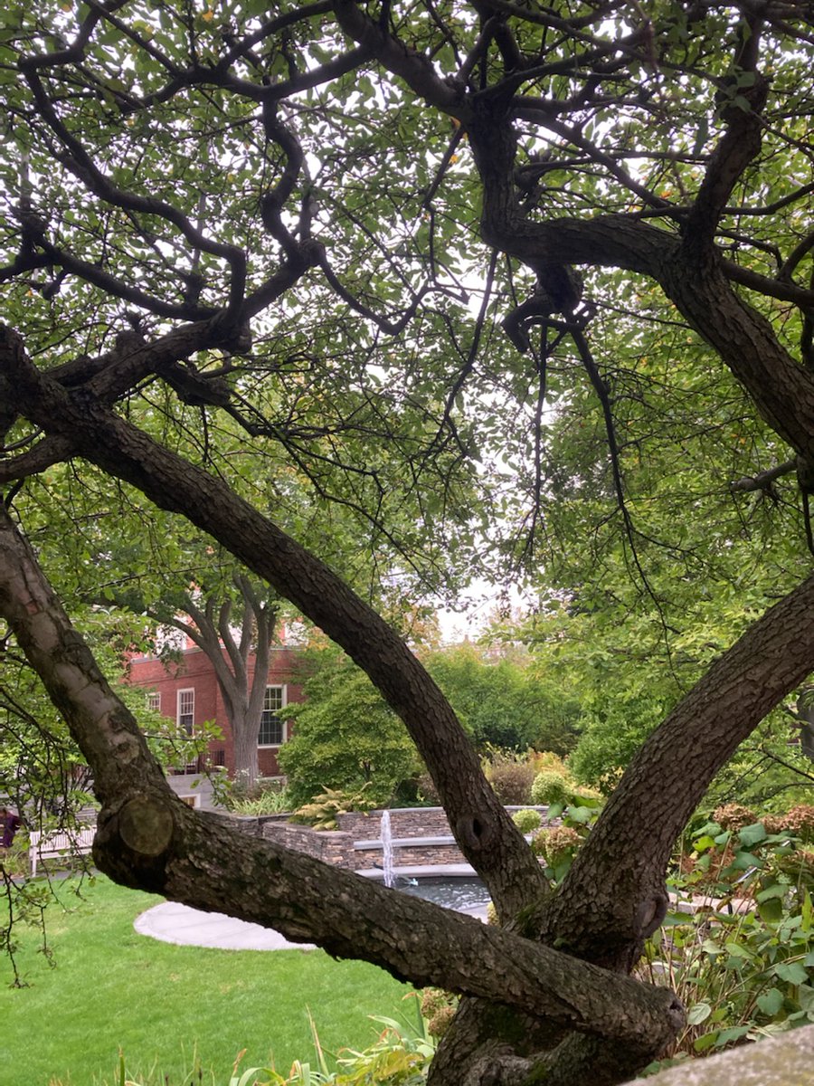 hgse's tweet photo. Same campus, new looks. 🌷☀️🍂❄️ https://t.co/DDbXxzYZdC