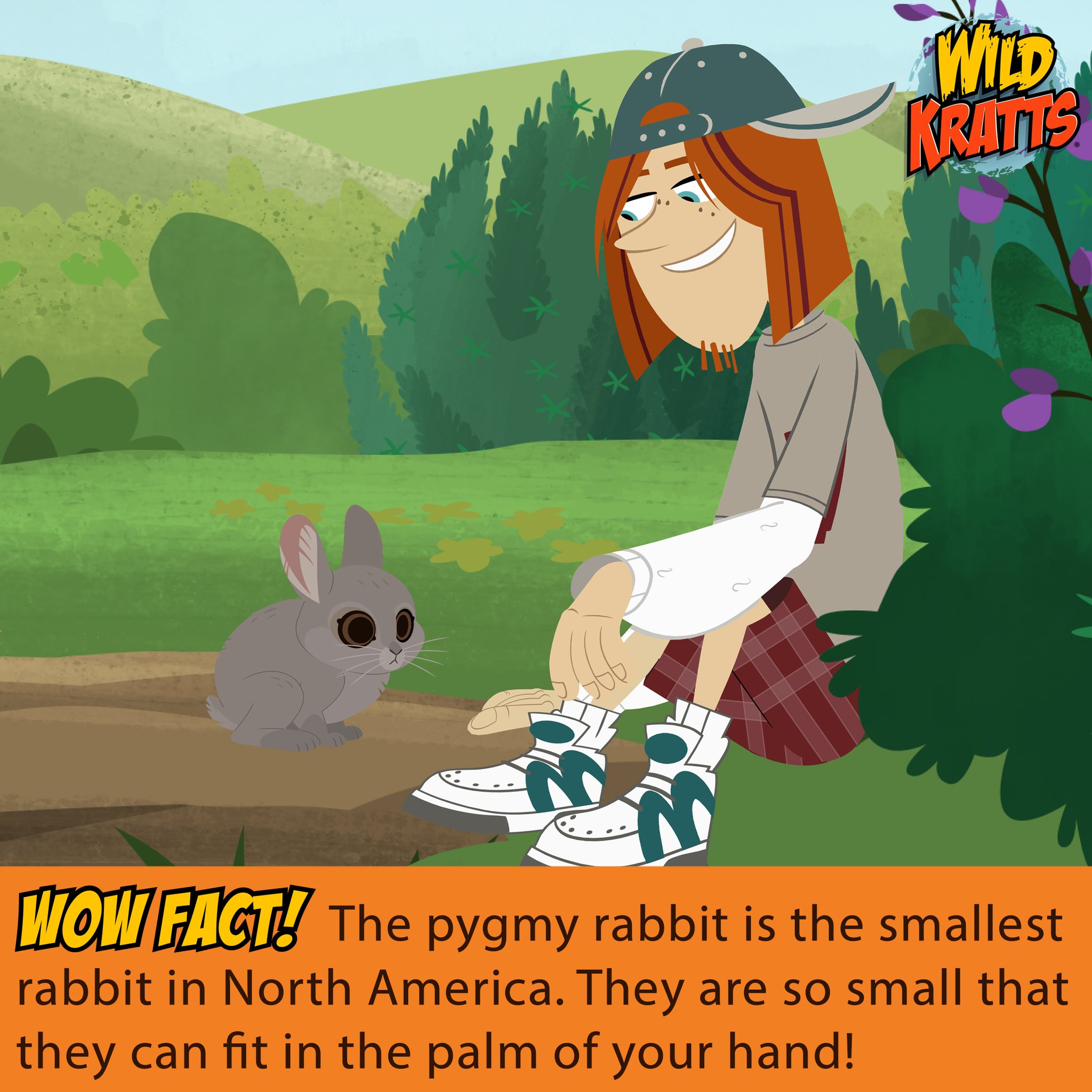 Wild Kratts on Twitter: 