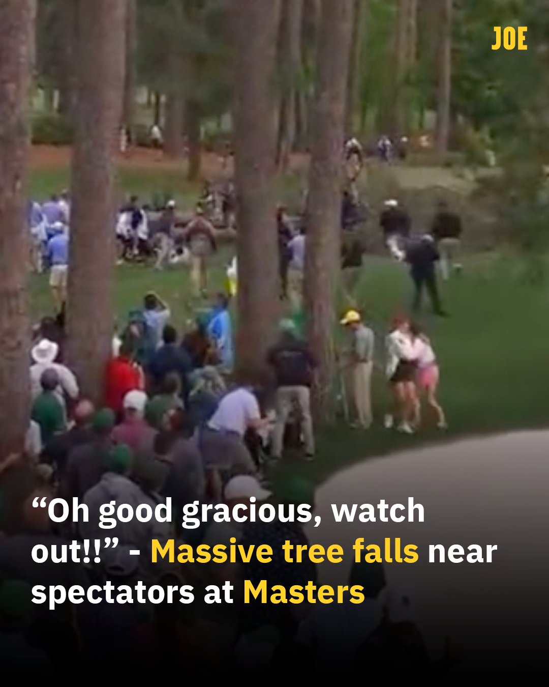 Tree falls at Masters WafyYanisa