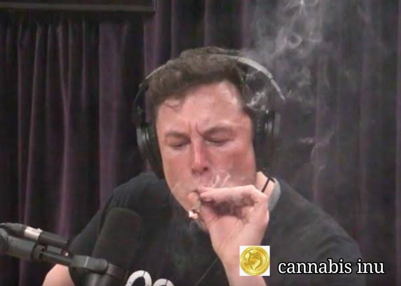 CannabisInu's tweet photo. contract
0xd7FD1598A2cfD4C302CCC78565749FF70115D28c

#cannabisinu @SnoopDogg
@elonmusk https://t.co/DfOkM2KYHK