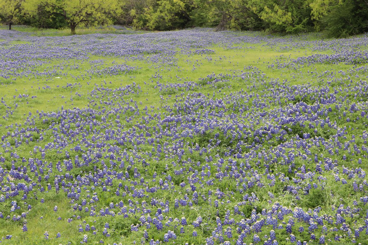 City of Irving tweet media