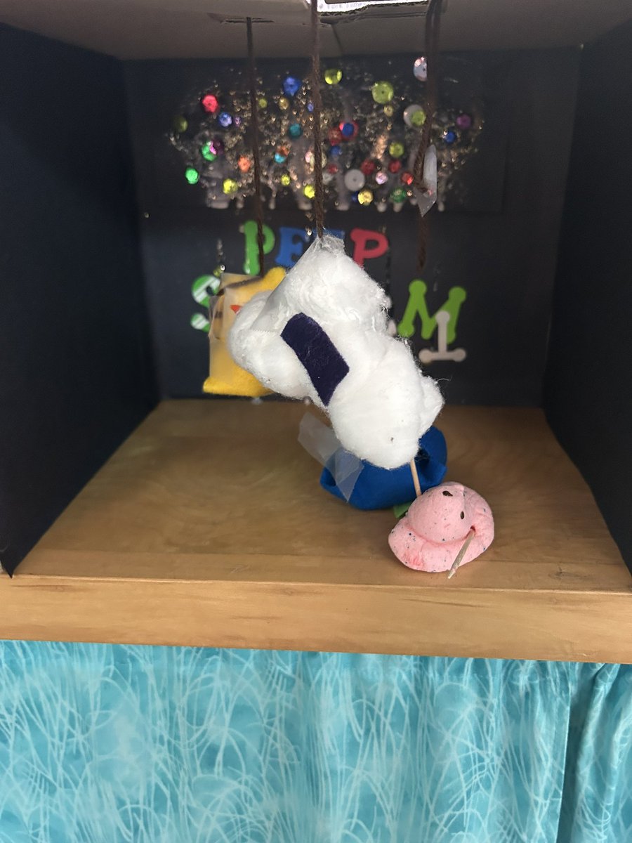 Brittany Ferguson tweet media