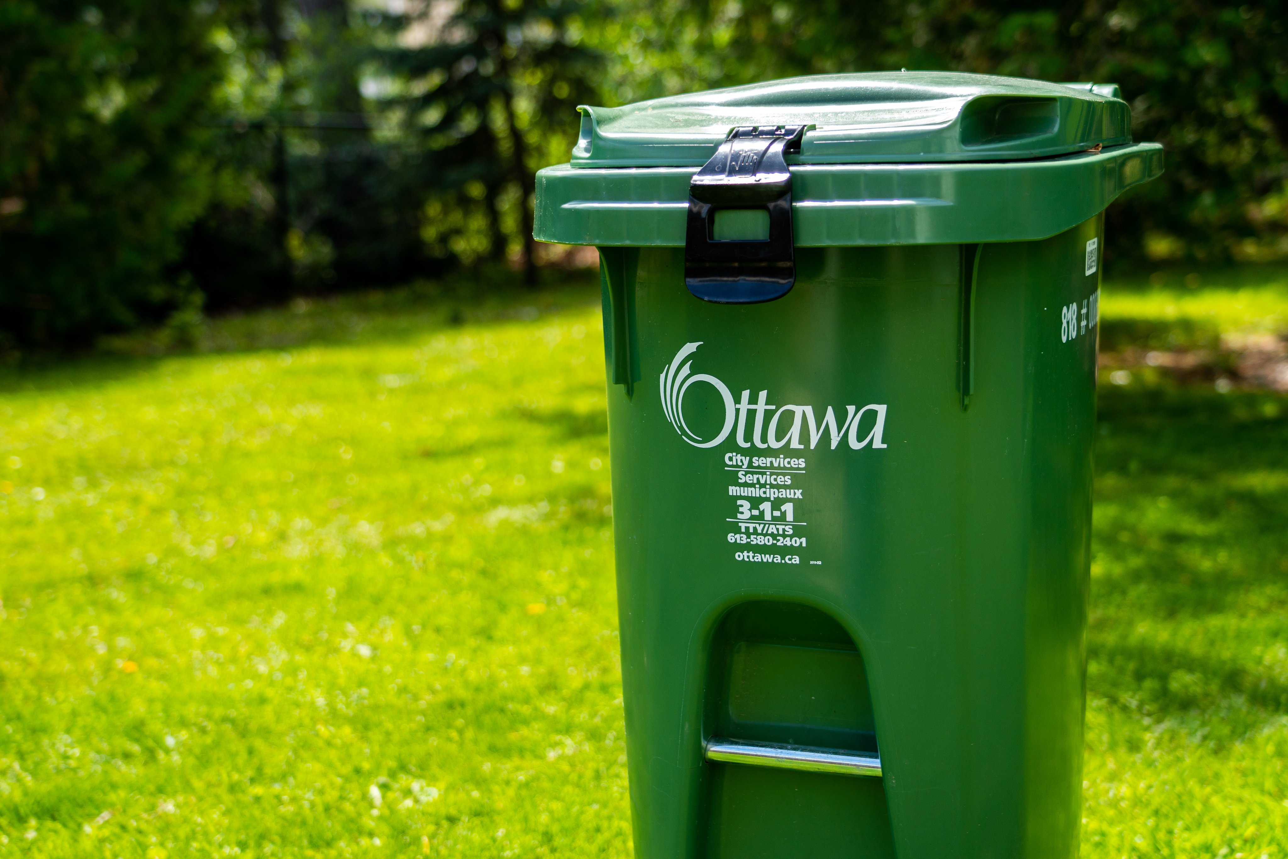 Green Bin