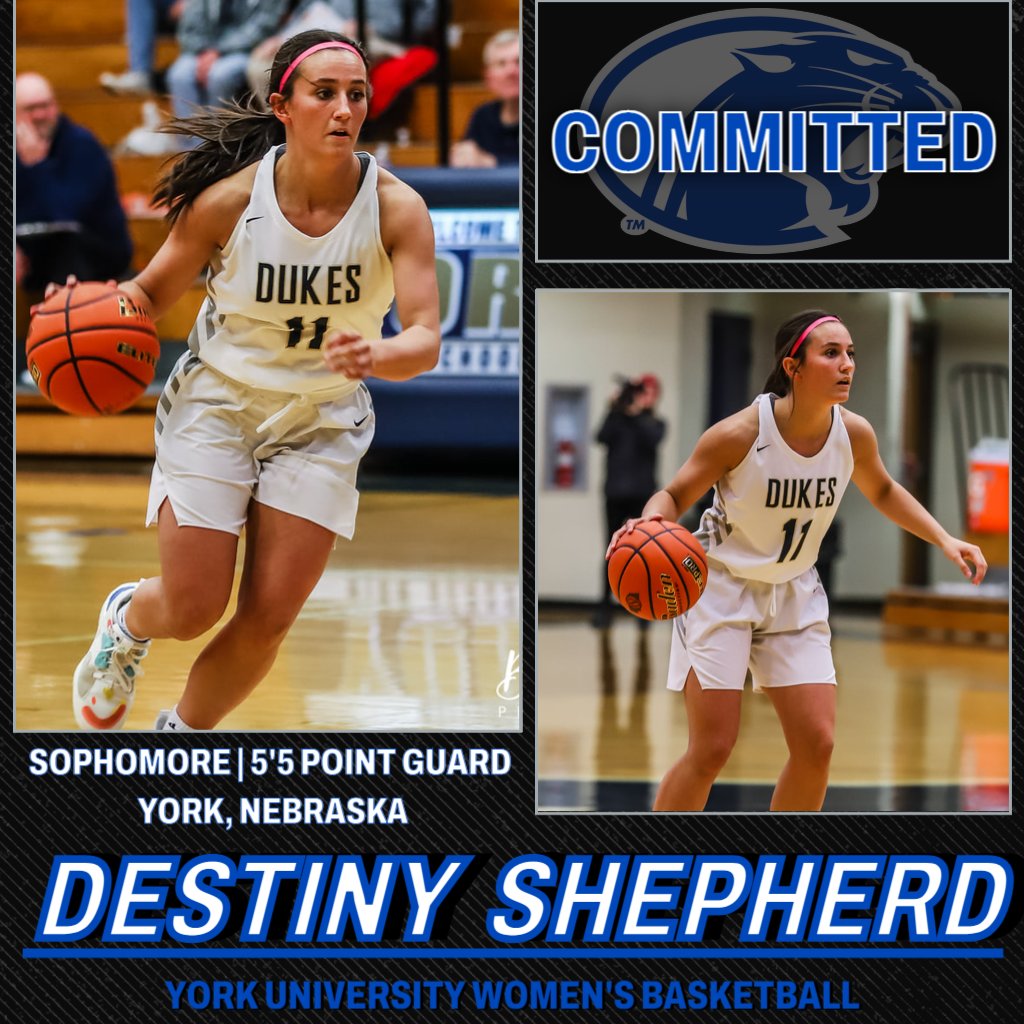 York University WBB tweet media