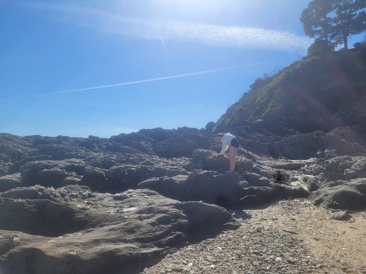 Searching for wild oysters w my eldest. My idea of heaven.