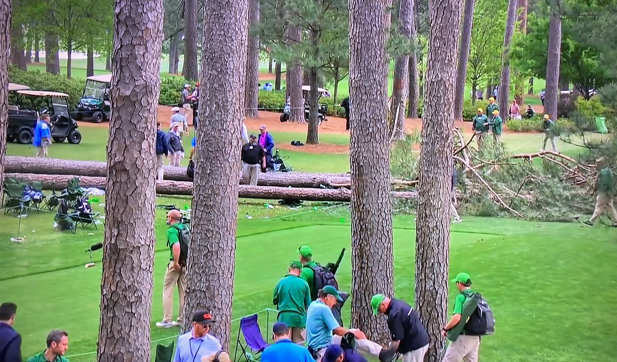 Pine trees down!
To the left of the 17 tee at Augusta National. 
No injuries- play still delayed.
#Masters2023 #AugustaNational