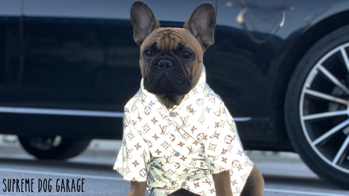 Bonjour Designer Dog Collar And Leash | Supreme Dog Garage