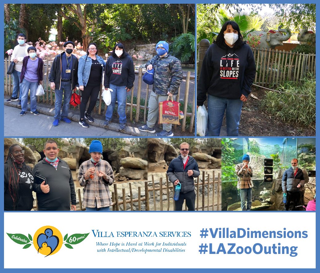 VESPasadena's tweet photo. Lions, tigers, and bears could all be seen during Villa’s Dimensions Day Program’s trip to the LA Zoo. Thanks to a grant from the Thornton S. Glide, Jr. and Katrina D. Glide Foundation, participants were able to learn about different wild animals. #VillaDimensions #LAZooOuting https://t.co/X4Uiy0GrNu