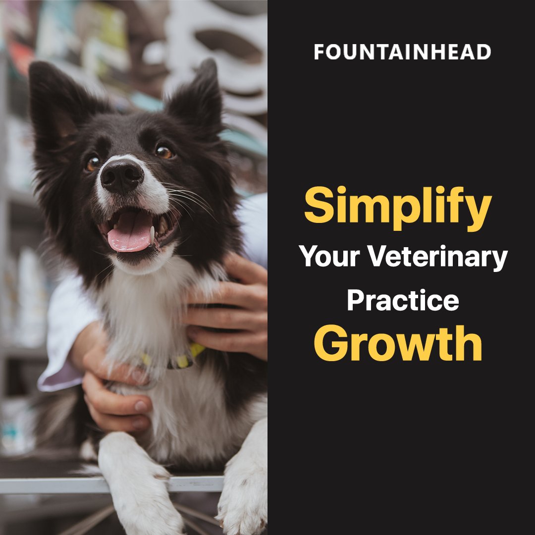 thechrishurn's tweet photo. As a busy vet, focus on your patients while we handle your financing needs. Get stress-free growth with Fountainhead's specialized veterinarian financing.

Learn more: https://t.co/ekB140txkL

#veterinarian #smallbusiness #businessloans #businessfinancing https://t.co/GRPPwlKGp0