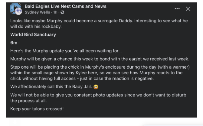 geemeff's tweet photo. First there was this notice in the park, and now there's another notice. #GoMurphy! #BestOfLuck to him 🐣
From @maryste8 blog: https://t.co/vXjojWhGQK https://t.co/dIc9ICi3BH