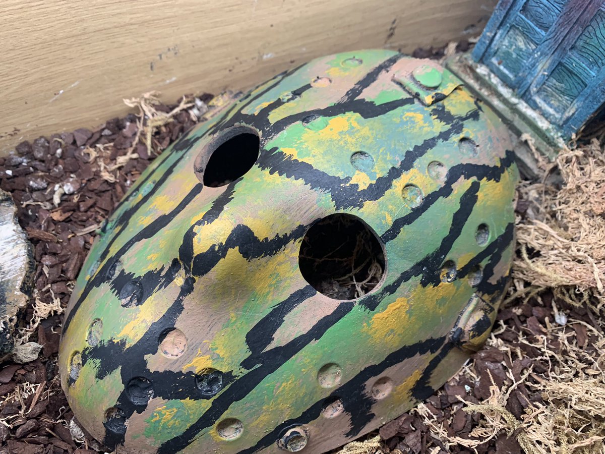 jasonimpey's tweet photo. My False Water Cobra has had a home improvement - quality Jason Voorhees hide from Wriggles #jasonvoorhees #fridaythe13th #horror #snakehide #falsewatercobra #snake https://t.co/usIXotIVPW