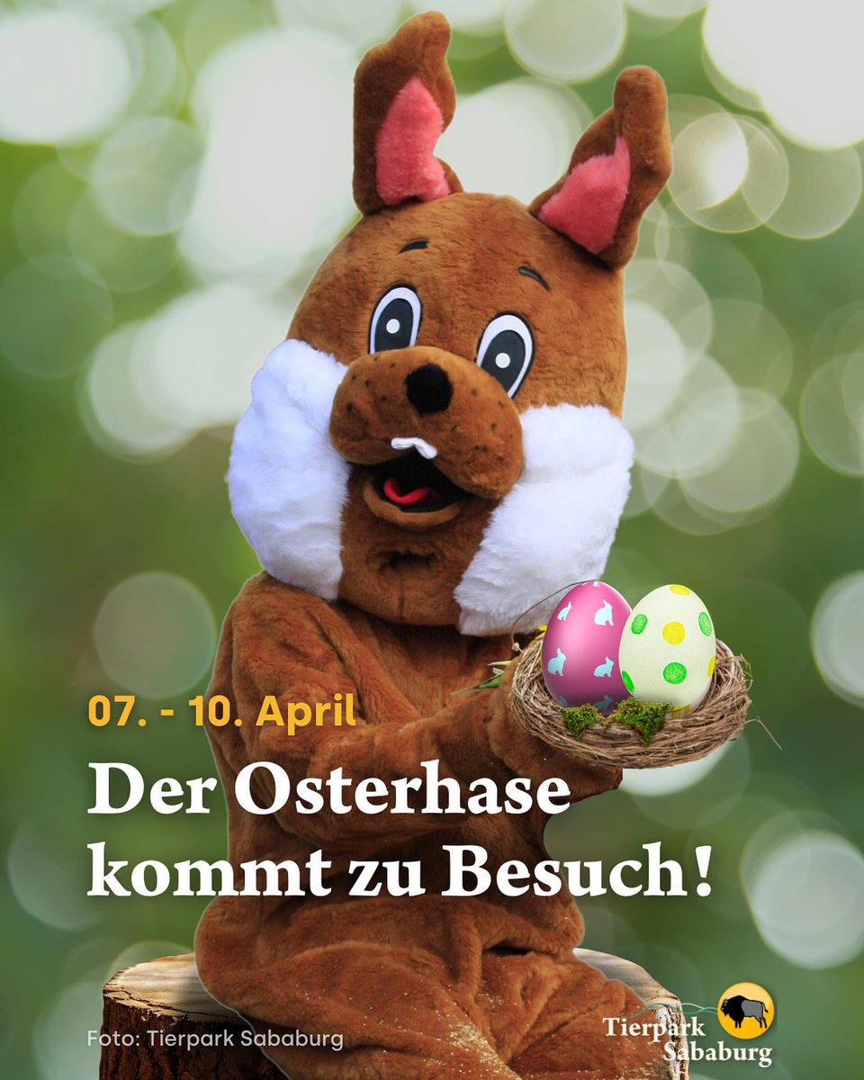 SababurgZoo's tweet photo. Ostern im Tierpark Sababurg! 📷
Hoppeln und Hüpfen bis die Ohren fliegen. Der Osterhase im Tierpark Sababurg hat viele bunte Ostereier in seinem Körbchen liegen https://t.co/GbuUvNNfcR https://t.co/XXQSIQfrQq