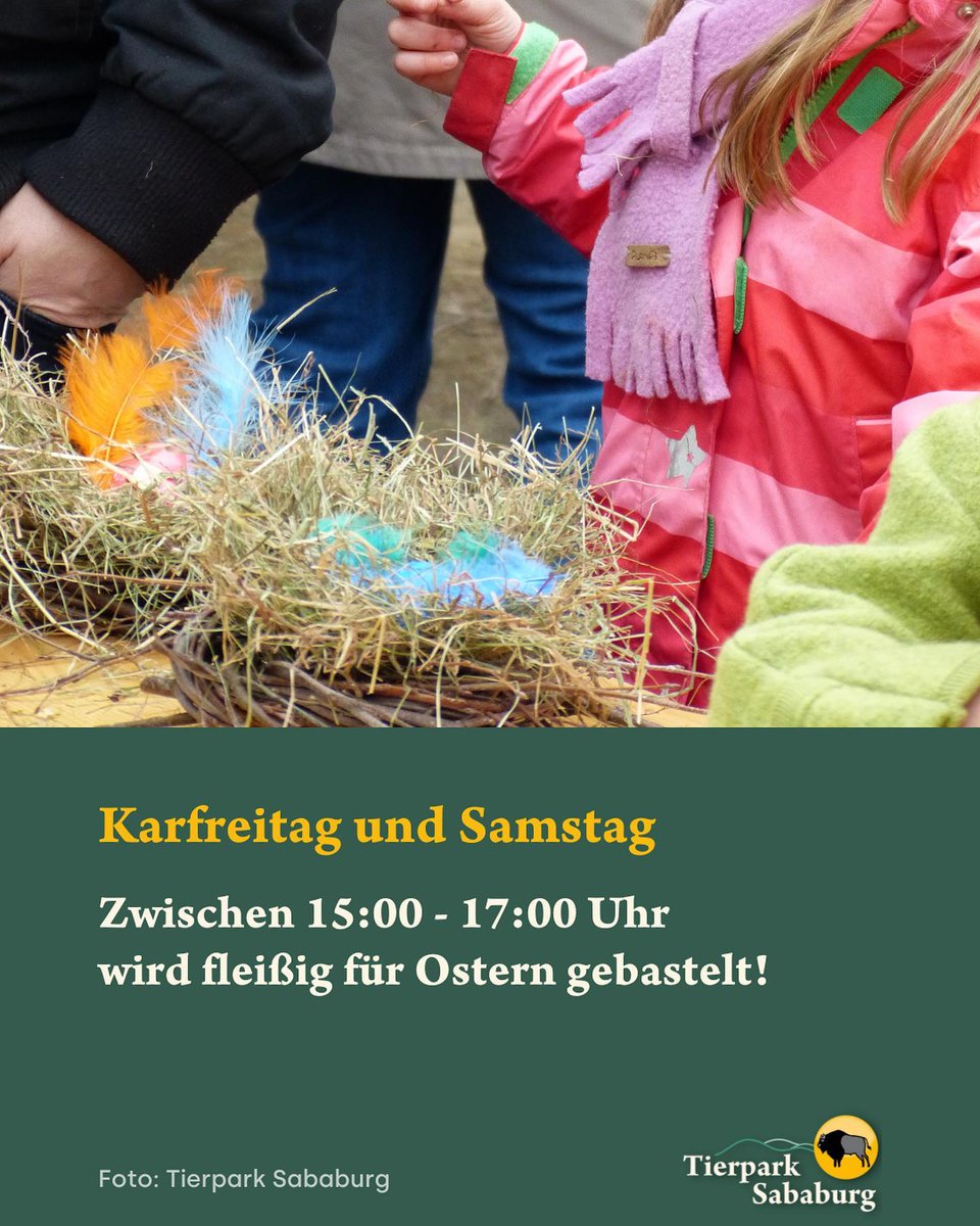 SababurgZoo's tweet photo. Ostern im Tierpark Sababurg! 📷
Hoppeln und Hüpfen bis die Ohren fliegen. Der Osterhase im Tierpark Sababurg hat viele bunte Ostereier in seinem Körbchen liegen https://t.co/GbuUvNNfcR https://t.co/XXQSIQfrQq