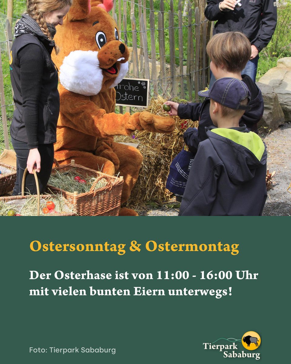 SababurgZoo's tweet photo. Ostern im Tierpark Sababurg! 📷
Hoppeln und Hüpfen bis die Ohren fliegen. Der Osterhase im Tierpark Sababurg hat viele bunte Ostereier in seinem Körbchen liegen https://t.co/GbuUvNNfcR https://t.co/XXQSIQfrQq