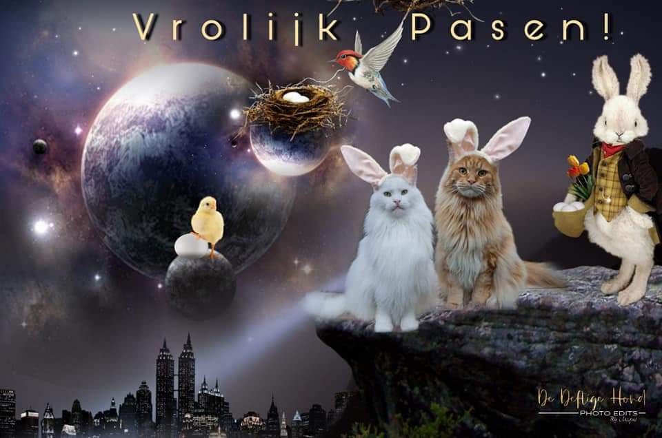 Voor iedereen een vrolijk Pasen 🐣