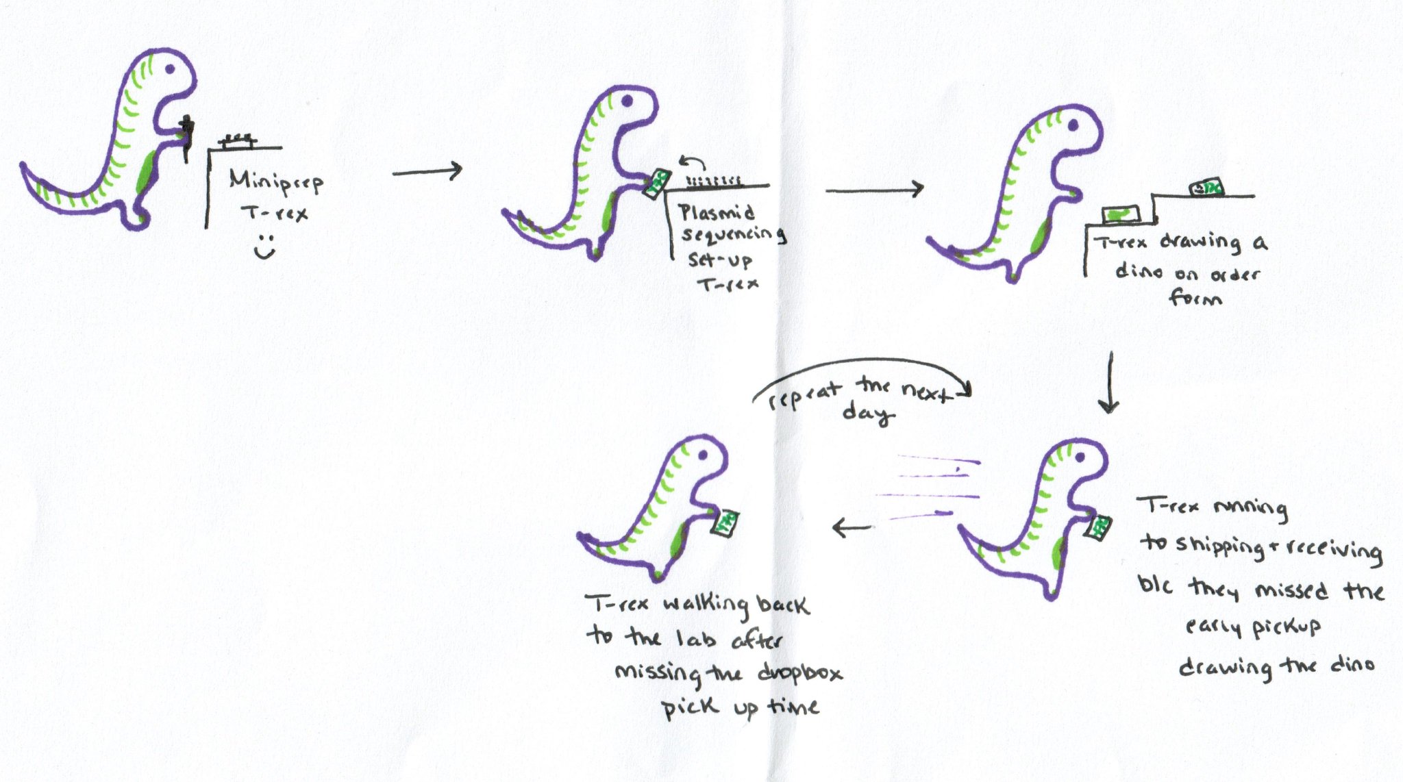 plasmidsaurus on Twitter "2. The "drawing a dino" to "late for my