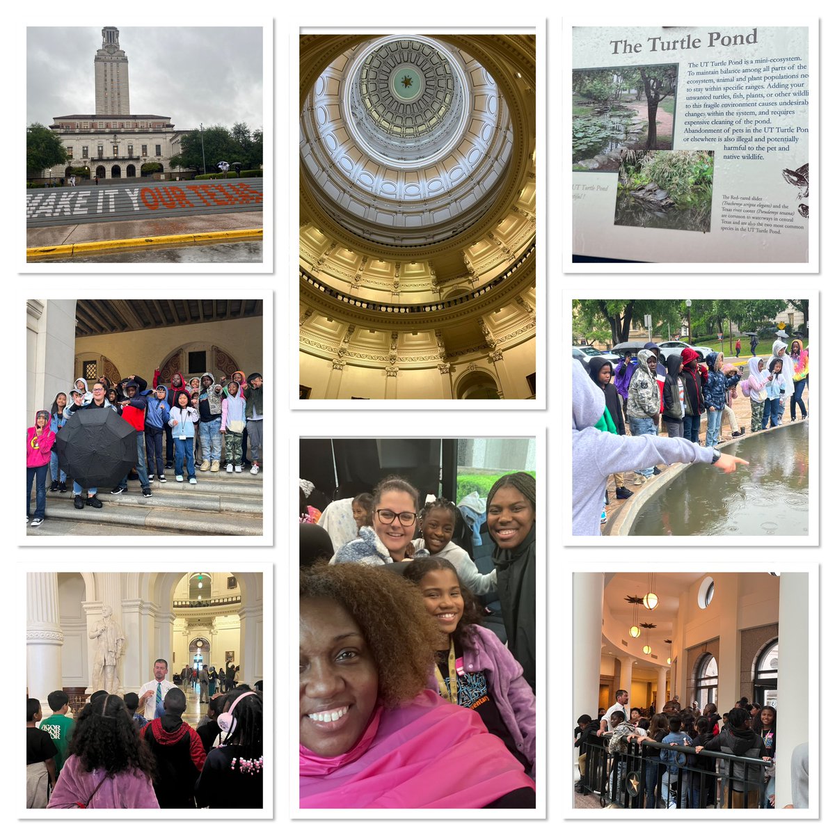 Dana Bluncson tweet media