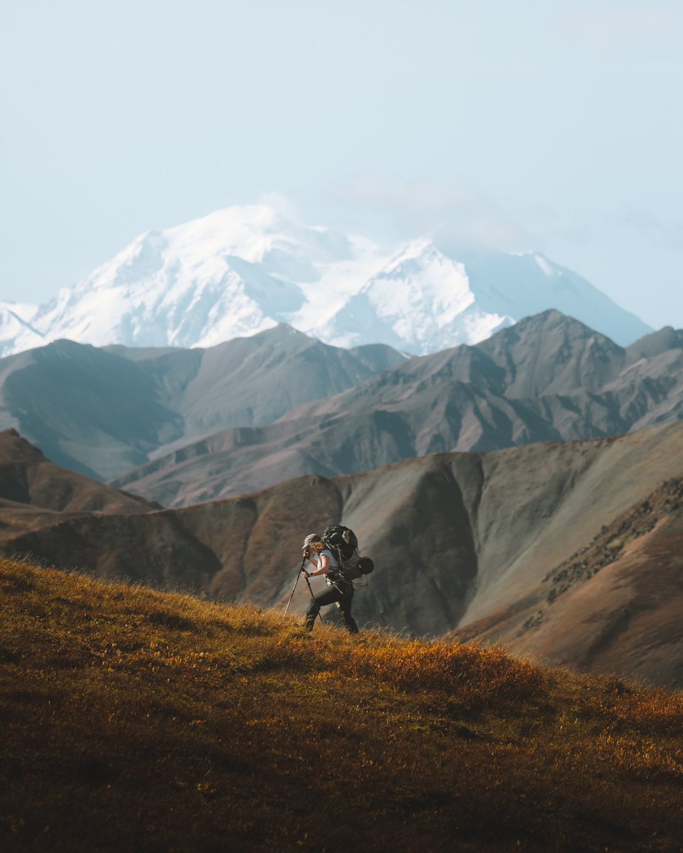 jubbishjay's tweet photo. into the wild https://t.co/lENBFGXUrO