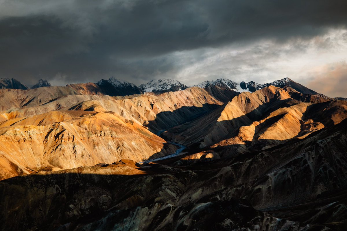 jubbishjay's tweet photo. into the wild https://t.co/lENBFGXUrO