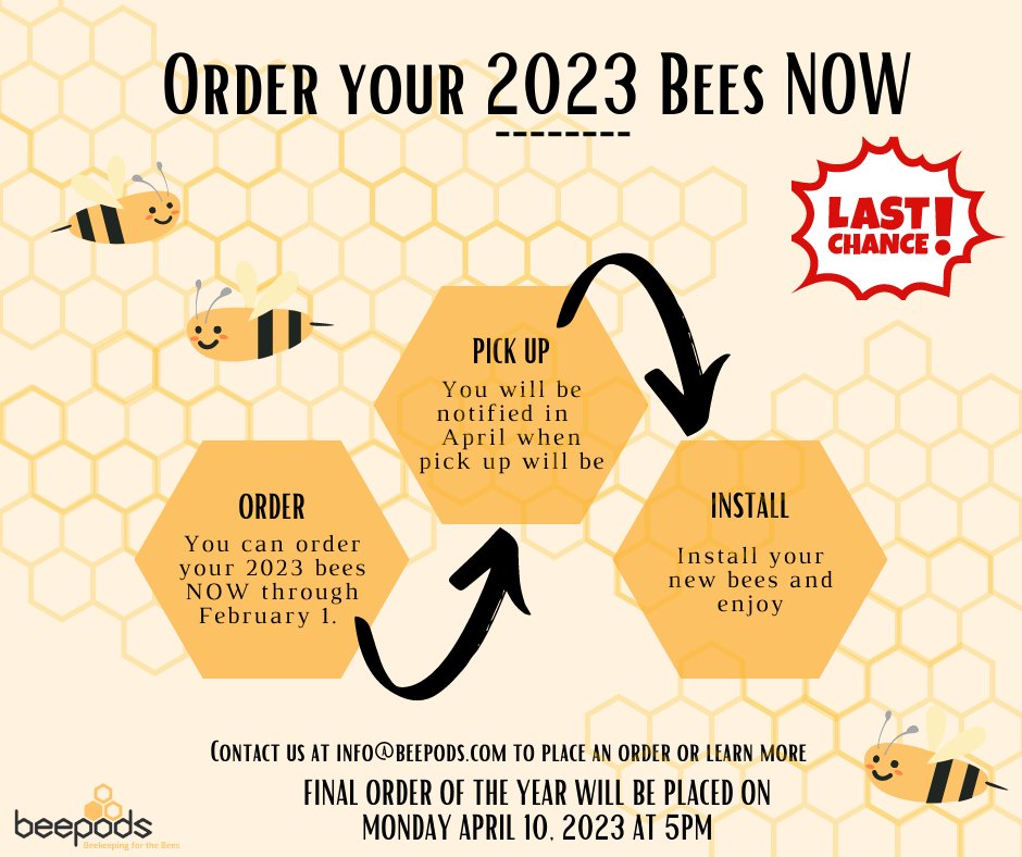 Beepods tweet media